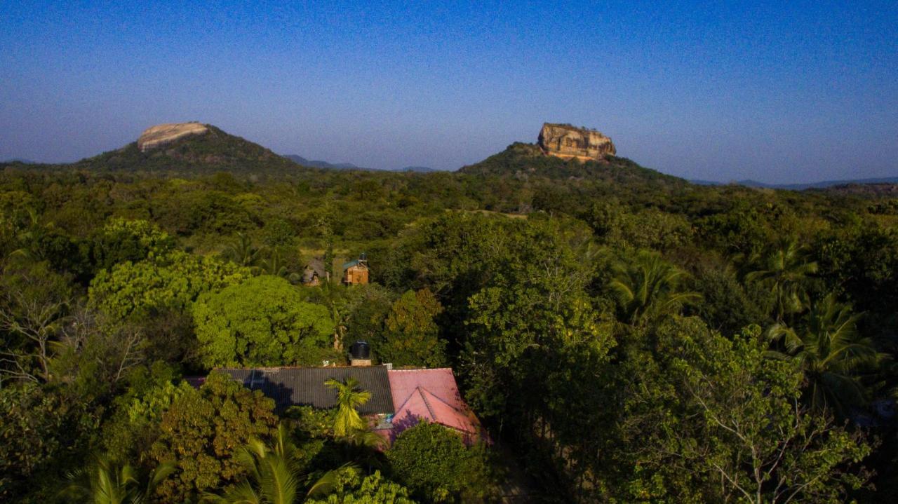 Sigiriya Rock Gate Tree House Hotel Eksteriør billede