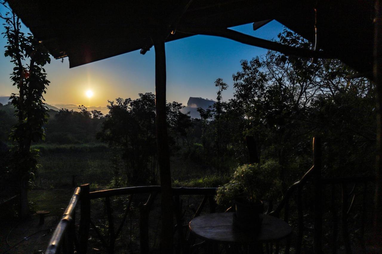 Sigiriya Rock Gate Tree House Hotel Eksteriør billede